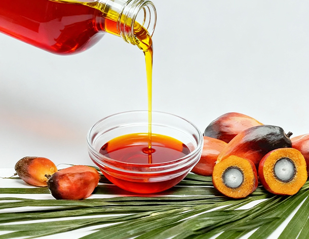 Crude Palm Oil