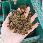 Double Screw Palm Oil Press Machine