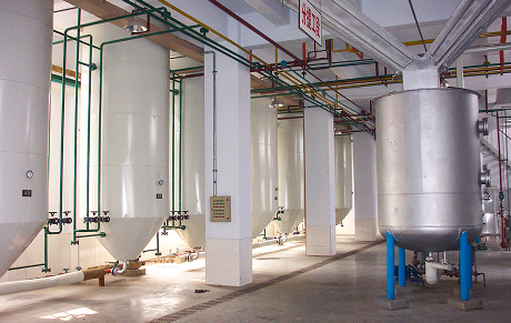 Palm Oil Fractionation Plant Projects