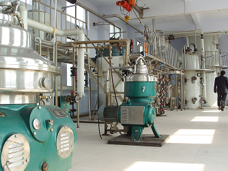 Palm Oil Refinery Projects