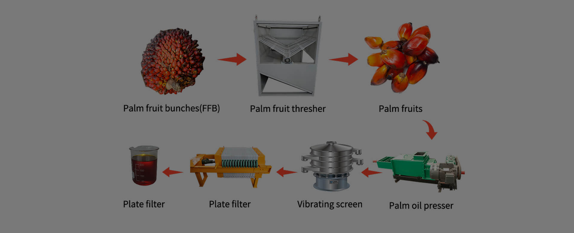 Simple Type Palm Oil Processing Plant