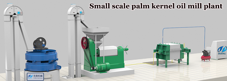 Palm kernel oil extraction machine