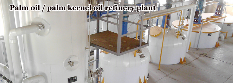 palm oil refining machine