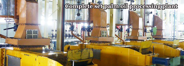 Large scale palm oil extraction machine