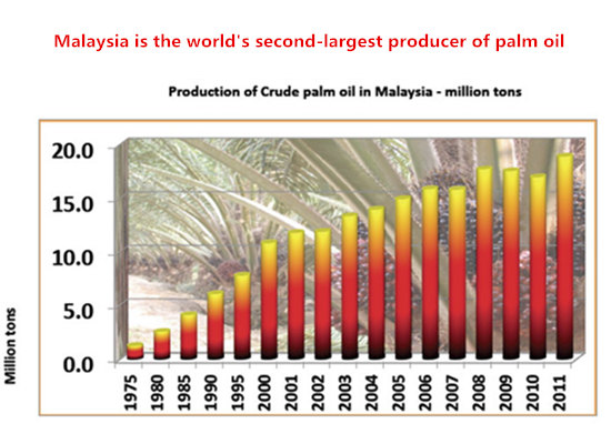 Malaysia is the world's second-largest producer of palm oil