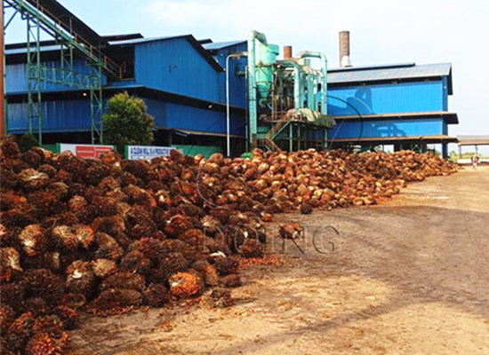 Why so many investers want to start a palm oil processing business in Nigeria?