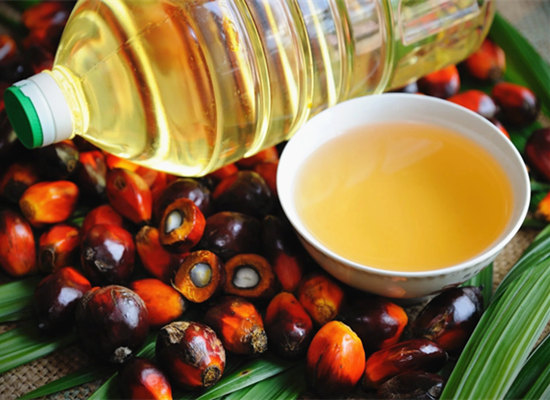 Where is the oil palm plantations in The Nigerian States?