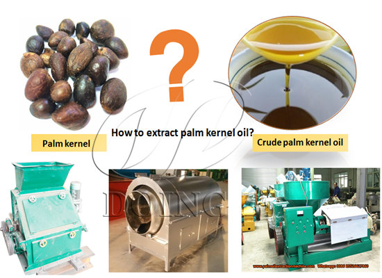 How to extract palm kernel oil?