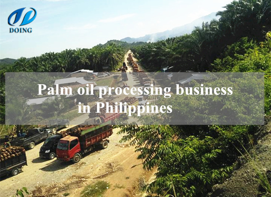 Setting up a palm oil mill plant in Philippines is a good choice