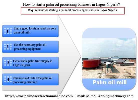 How to start a palm oil processing business in Lagos Nigeria?