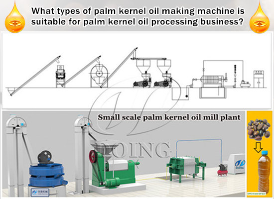 What types of palm kernel oil making machine is suitable for palm kernel oil processing business?