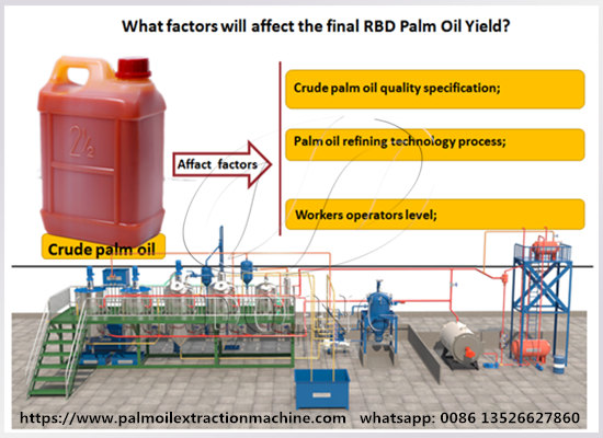 What factors affect the final RBD palm oil yield?