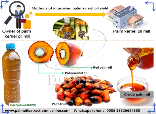 What are the methods of improving palm kernel oil yield in palm kernel oil mill factory?