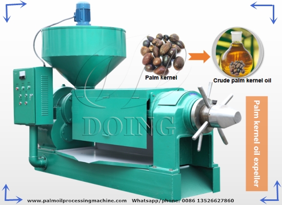 Palm kernel oil expeller machine