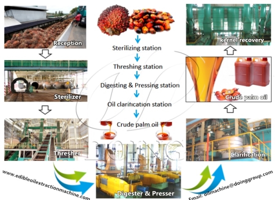 Palm oil processing machines and their price