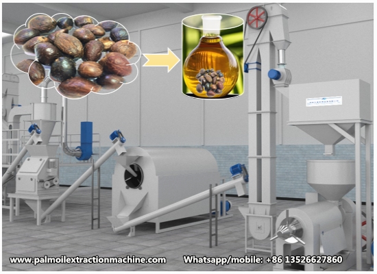 New design small scale palm kernel oil processing machine working video