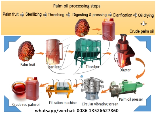 What is the process of making palm oil?