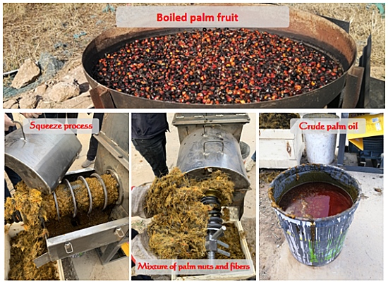 Mini palm oil expeller machine factory test running before delivery