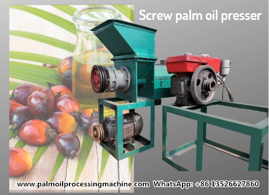 500kg/h mini palm oil presser machine introduction video