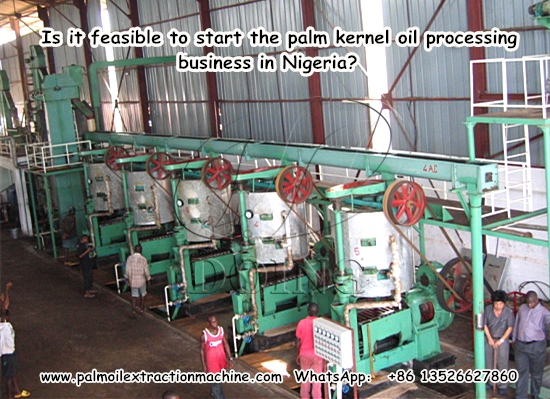 Is it feasible to start the palm kernel oil processing business in Nigeria?