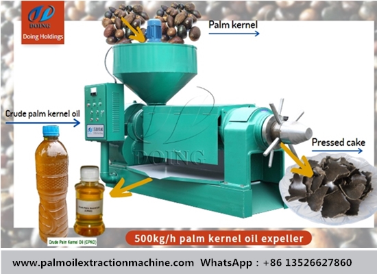 What machines are needed in palm kernel oil mill plant?