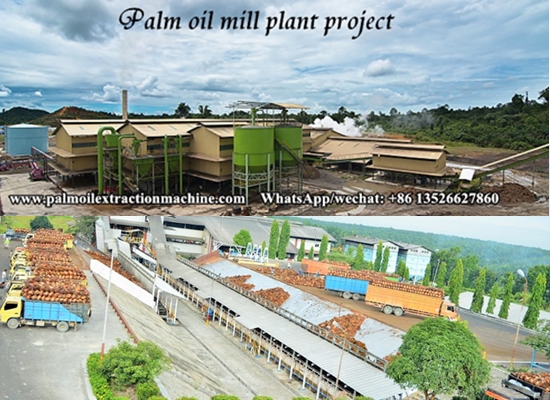 How much land be required for the palm oil processing plant?