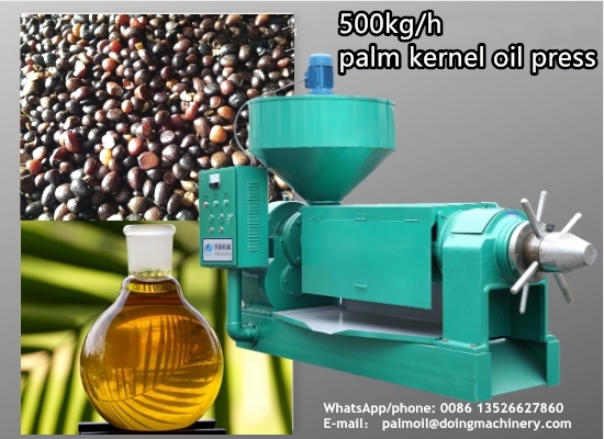The 500kg/h palm kernel oil press for Ghanaian customers was successfully put into operation!