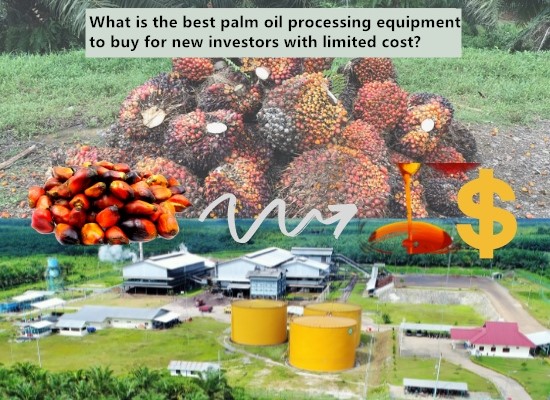 What is the best palm oil processing equipment to buy for new investors with limited cost?