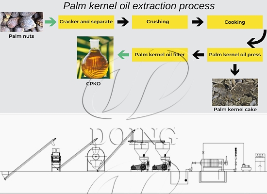 How to make clear organic palm kernel oil?