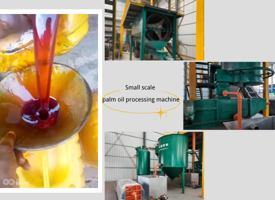 Small scale palm oil mill plant sample machine show video