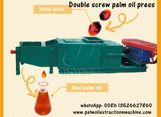 Double screw palm oil press machine introduction video