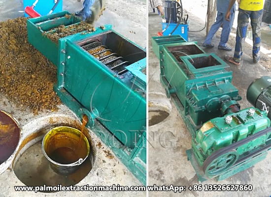 Working video of 1 ton per hour double screw palm oil press machine in small scale palm oil mill