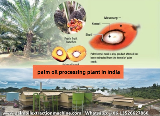 How to invest in a palm oil processing plant step by step in India?