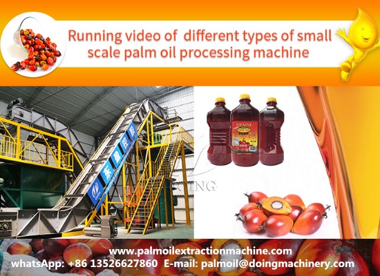 Operation video of different types of small scale palm oil production equipment