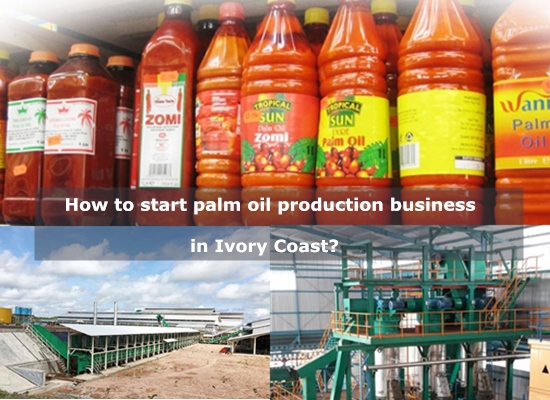 Is it feasible to open a palm oil processing plant in Ivory Coast?