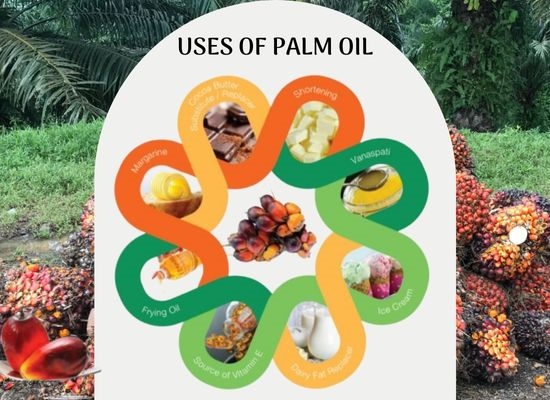 What is the uses of palm oil?