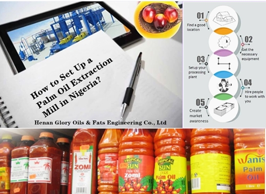 Why to set up palm oil extraction mill in Nigeria? How to set up a palm oil extraction mill in Nigeria?