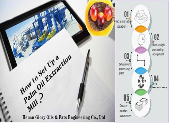 What does it take to start up a palm oil processing business?