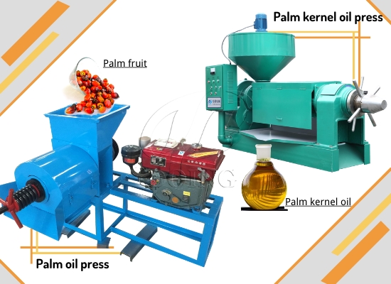 What are the similarities and differences in the production process of palm oil and palm kernel oil?