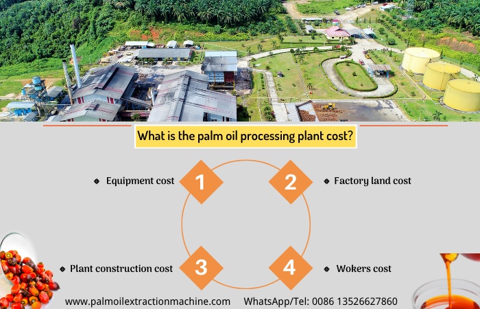 The cost of setting up a palm oil production plant.jpg