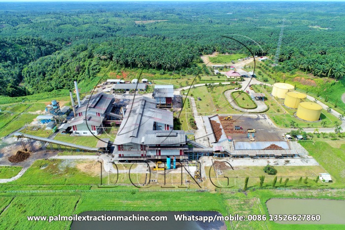 Palm oil factory.jpg