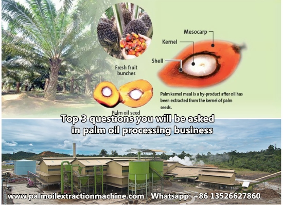 500kgph palm oil processing machine line will shipped to Cameroon