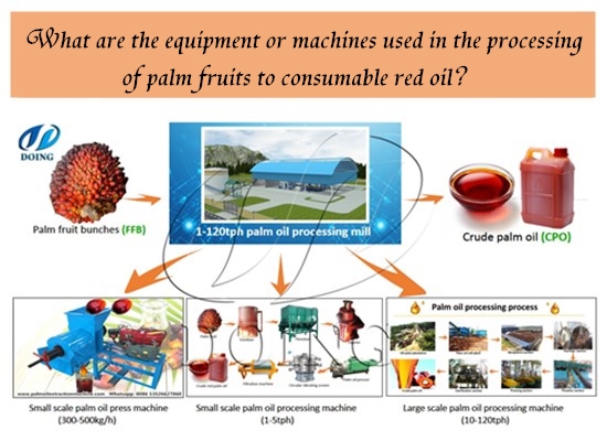 What are the different types of palm oil processing machine?