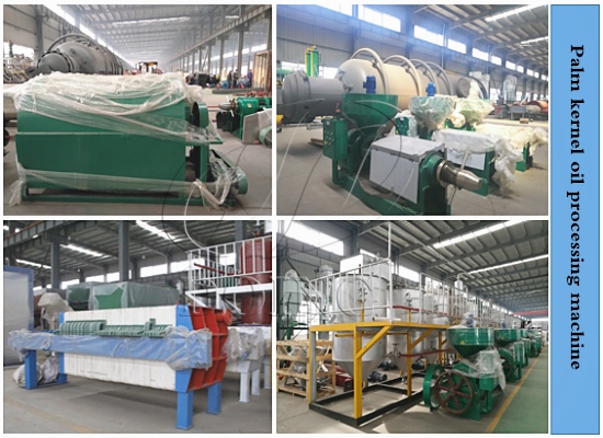 Benin customer successfully purchased palm kernel oil extraction machines from Henan Glory Company