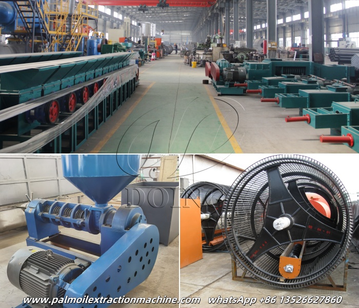 palm oil extraction machines.jpg