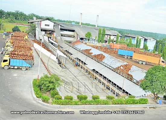 What impact does the palm oil mill in Indonesia have on the environment?