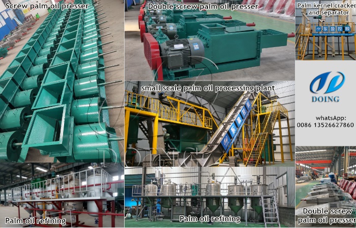 palm oil processing plants.jpg