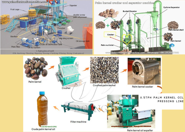 palm oil making machines and palm nut oil processing machines.jpg