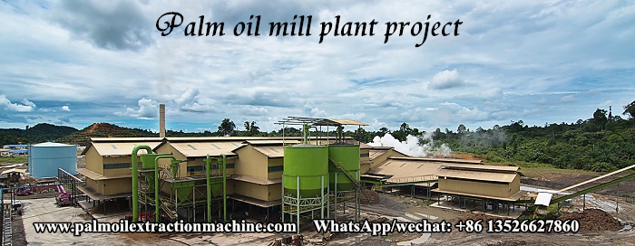 palm oil production plant.jpg