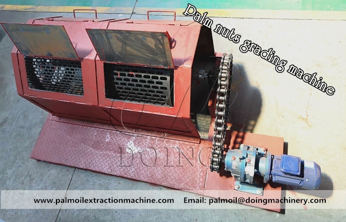 Palm kernel grading machine.jpg